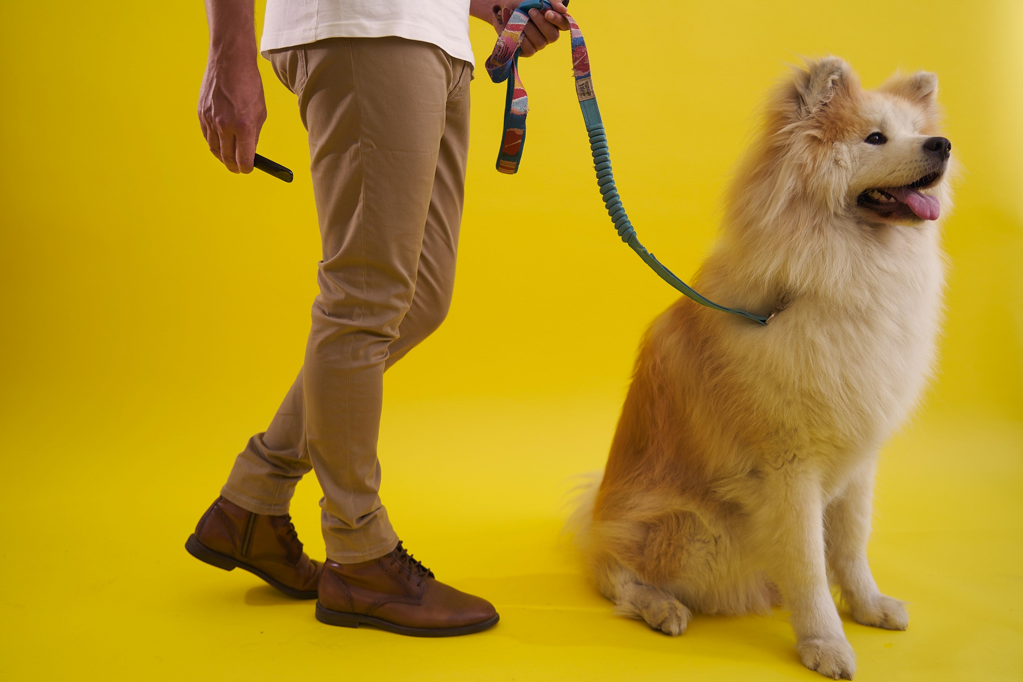 Pet outdoor products