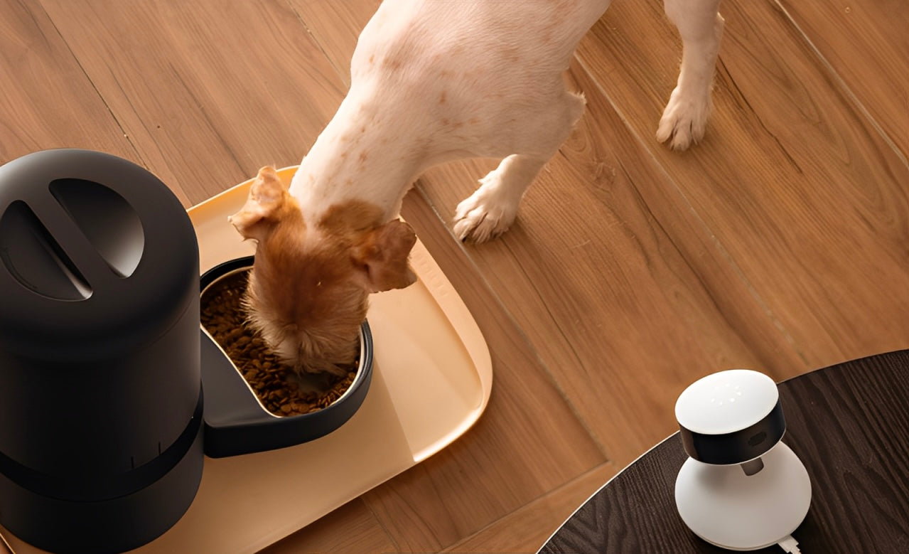 Smart pet products